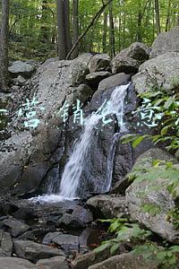 抖音营销创意活动