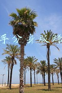 快手分身版赚钱