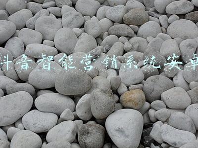 抖音智能营销系统安卓