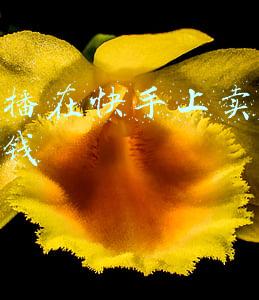 做主播在快手上卖怎么最赚钱