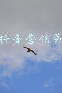 中国营销传播网(消费者对广告态度的没落)