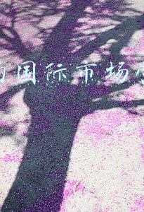 抖音国际化战略(抖音总裁张楠：抖音出海是做全球化产品和本地化内容)