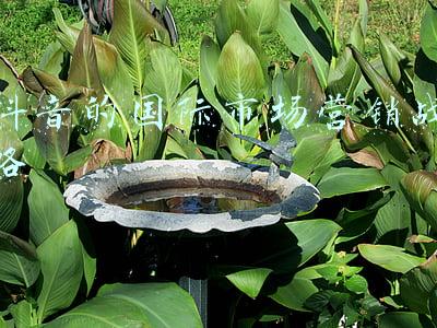 小米国际市场营销战略(小米再改变营销策略)