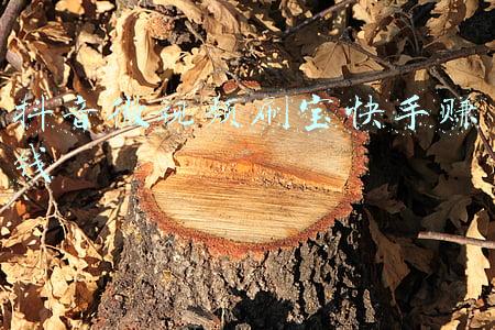 抖音微视频刷宝快手赚钱