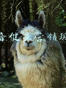 健身器材行业发展现状(2022-2027年训练健身器材行业发展现状及投资前景预测研究报告)