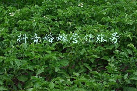 抖音朋友圈宣布订婚(胡宇威陈庭妮宣布订婚，相拥合照太亲昵，网友：是公主小妹里的磷)