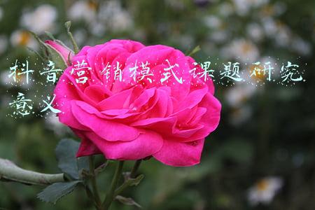 抖音营销模式课题研究意义