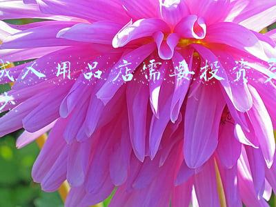 无人售货成人用品店;无人售货成人用品店都卖什么