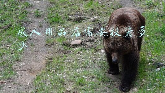 成人用品店里都卖什么，成人用品店里都卖什么?