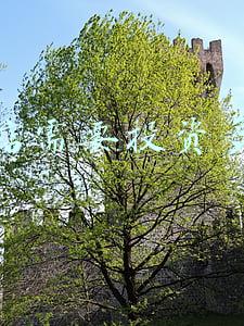 开一家母婴店需要投资多少钱-开个孕婴店需要多少钱