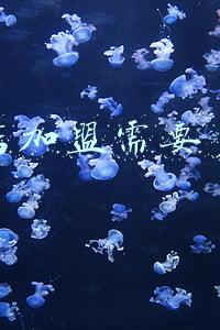 开个童装店要多少钱(开一个童装店要多少钱)