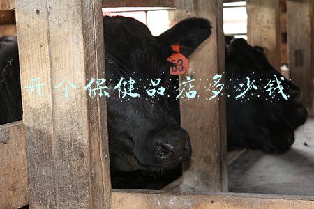 如何开一家保健品店，保健品店怎么开