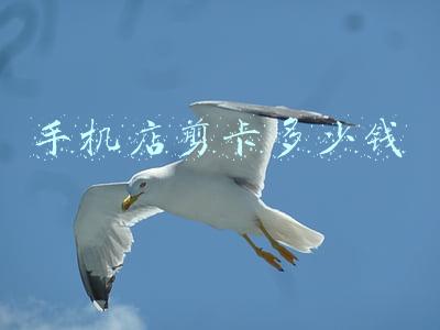 手机卡剪卡后怎么还原，手机卡剪小了怎么还原