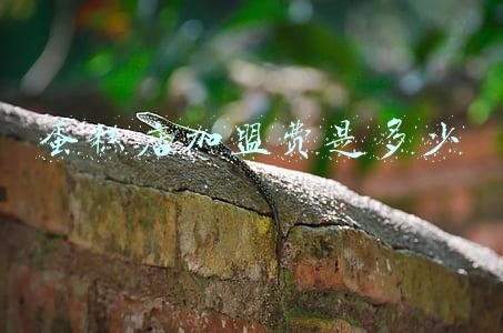 蛋糕加盟需要多少钱,全程扶持开店!：蛋糕加盟需要多少钱