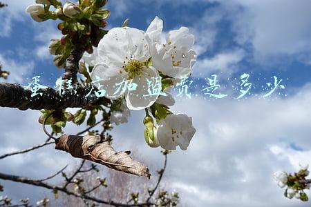 许个愿吧蛋糕店加盟电话:许个愿吧蛋糕店加盟