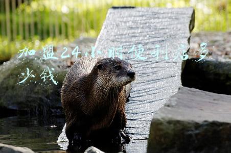 24小时便利店加盟店排行榜；24小时便利店加盟哪家好