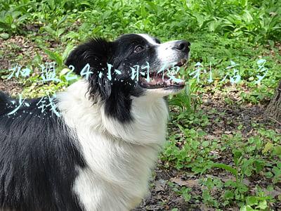 24小时便利店投资多少钱(投资24小时便利店需要多少钱)