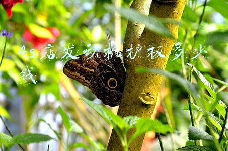 发动机护板一般多少钱（发动机护板多少钱一个）