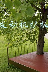 汽车发动机护板有没有安装的必要?(汽车发动机护板)