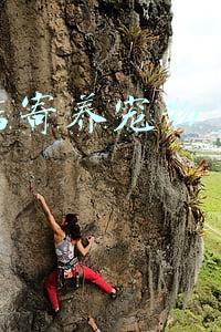 西安寄养狗狗一天多少钱（西安宠物店寄养宠物多少钱一天）