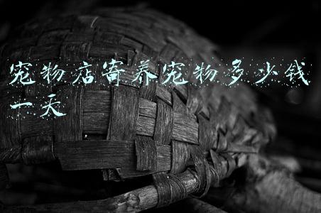 宠物店寄养服务流程（宠物店寄养服务）