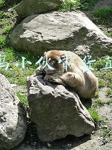 义乌小伙带货直播