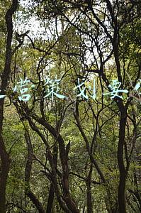 游戏策划主要做什么(文案策划必修课(3)：游戏情节的塑造)