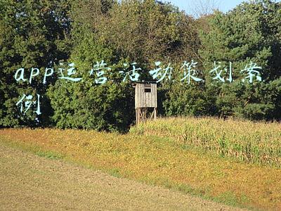 app运营活动策划案例