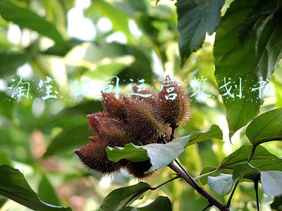 淘宝运营计划书模板简单的(电商平台运营方案计划 淘宝客服工作计划)