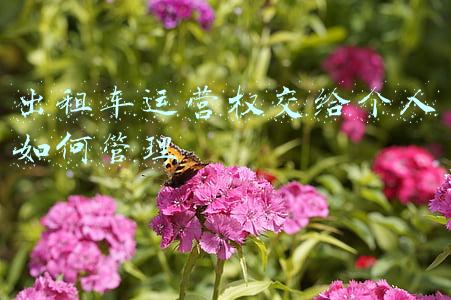 出租车公司运营方案(新安县交通运输部门发布客运、出租车有序恢复运营方案)