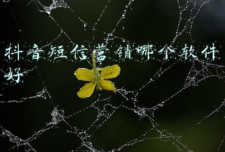 巨量推抖音营销软件(短视频营销工具-抖鑫助手)