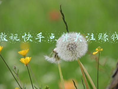 微视快手点赞关注赚钱