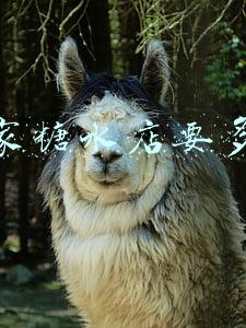 开一家糖水店要多少钱 开一家糖水店要多少钱