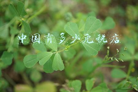 全中国最大的免税店，国内最大的免税店