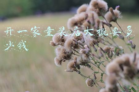 开一个童装加盟店大概要多少钱,开一个童装加盟店大概要多少钱赚钱吗