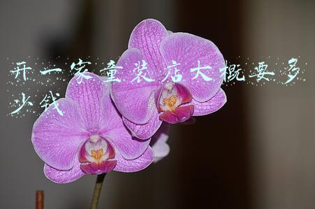 开一个童装店要多少钱-开一个童装店需要多少钱