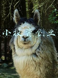 中小投资创业网
