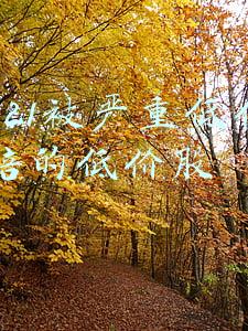 2021被严重低估10倍的低价股 博客(俄乌局势紧张缓解，美股止步三连跌，石油和黄金遭抛售，10年期美债收益率重回2%)