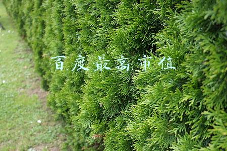 百度最高市值时期(百度市值破千亿美元背后：从无人驾驶黄埔军校到下场造车)
