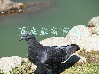 百度最高市值达到多少(百度港交所上市首日，市值已超7000亿港元，登港股市值第16大公司)
