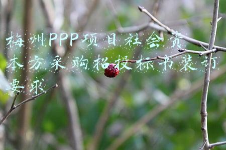 梅州PPP项目社会资本方采购招投标书装订要求