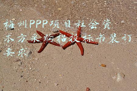 梅州PPP项目社会资本方采购招投标书装订要求