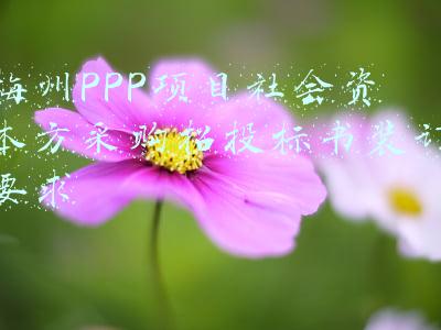 梅州PPP项目社会资本方采购招投标书装订要求