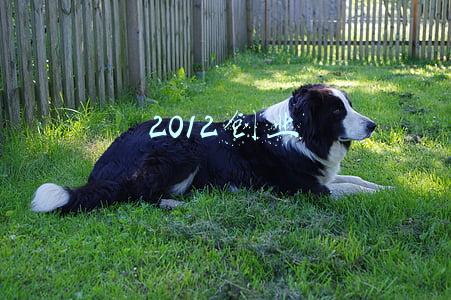 2012创业