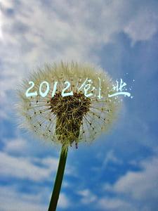 2012创业好项目(创业案例1-6:“85后”大学生创立“微企”抱团卖创意)