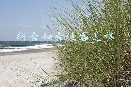 抖音知音漫客是谁