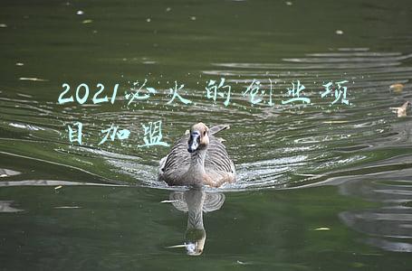 2021必火的创业项目加盟