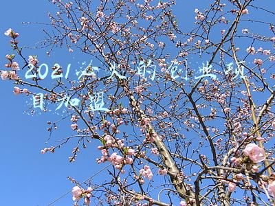 2021必火的创业项目加盟养生项目(钰翎养生馆邀你共享，养生行业蓝海市场)