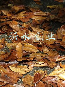 沂水创业环保招聘(招聘！沂水1.3万余个就业岗位组团来袭！（岗位表二）)
