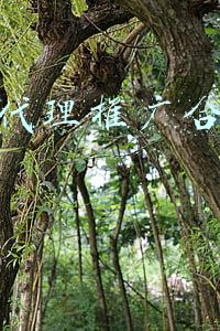 app拉新项目推广代理(初次开发APP小程序，找外包公司要注意什么？多少钱？)